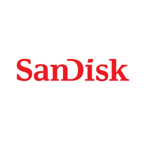 Scan Disk